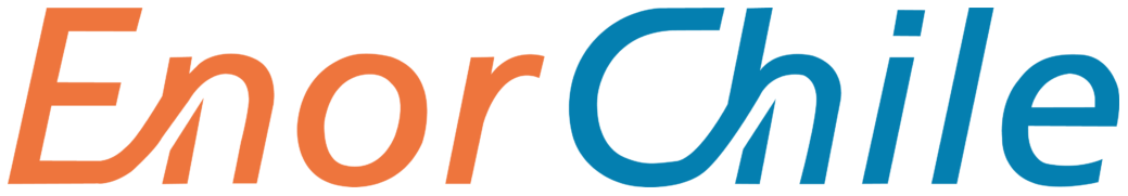EnorChile logo